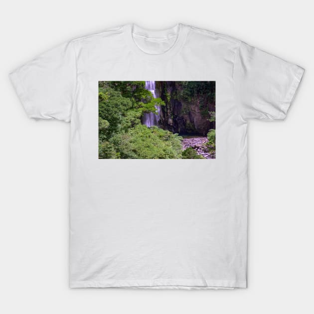 Philippine Waterfalls T-Shirt by likbatonboot